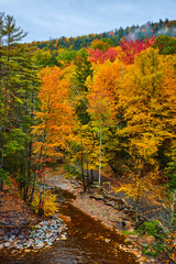 Stunning colorful fall forest with river flowing through 
