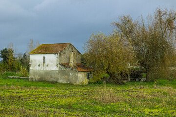 Old abandoned farm house in the middle of the plains of Ribatejo - Portugal