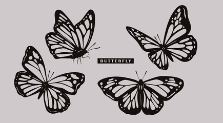 Fototapeta na wymiar Black outline Butterflies collection. Beautiful nature flying insects. Butterfly silhouettes. Hand drawn modern Vector illustration. All elements are isolated. Tattoo idea, print, logo template