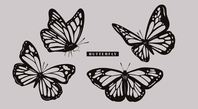 Black outline Butterflies collection. Beautiful nature flying insects. Butterfly silhouettes. Hand drawn modern Vector illustration. All elements are isolated. Tattoo idea, print, logo template
