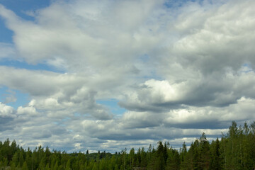 Clouds in the sky over the forest. High quality photo