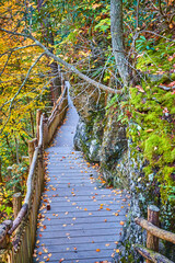 Wood boardwalk against mossy cliffs covered in fall leaves and surrounded by fall forest