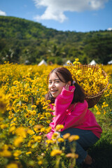 Naklejka na ściany i meble A woman wearing a pink dress is taking a walk in a yellow flower garden called Chrysanthemum during the day. At Pak Thong Chai District, Thailand 4-12-2022