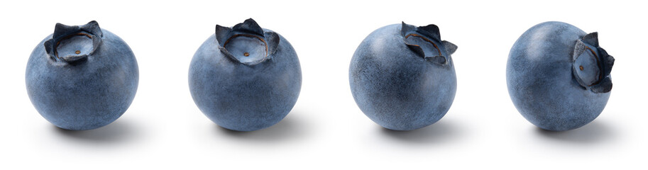 Blueberry isolated. Blueberry set on white background. Blueberries. Collection with clipping path. Full depth of field.