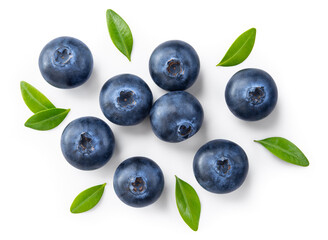 Blueberry isolated. Blueberries top view. Blueberry with leaves flat lay on white background with clipping path.