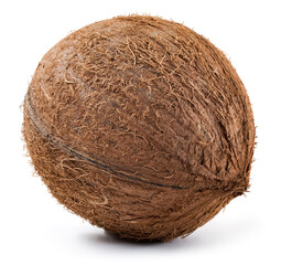 Coconut isolated. Coconutson white background. Whole coconut. Full depth of field.