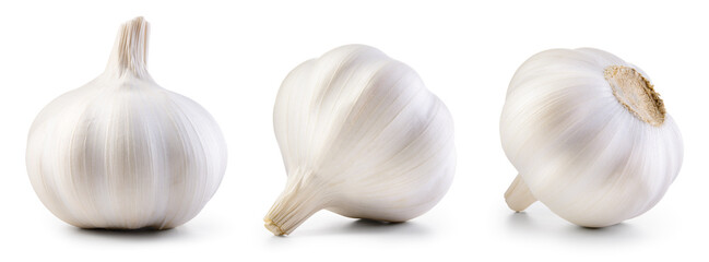 Garlic bulb isolated. Garlic on white background. White garlic bulb collection. Set with clipping path.