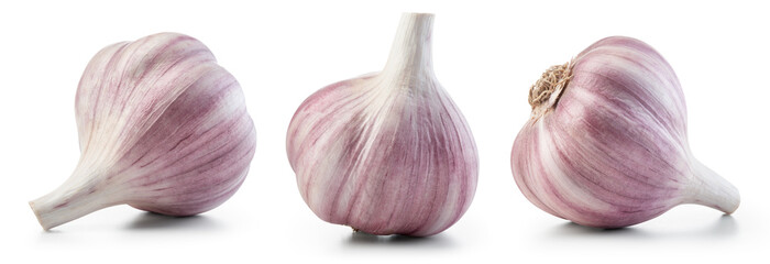 Garlic bulb isolated. Garlic on white background. Purple garlic bulb collection. Set with clipping path.