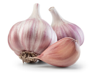 Garlic bulb isolated. Garlic bulbs and clove on white background. Unpeeled garlic with clipping path. Full depth of field.