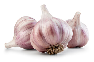 Garlic bulb isolated. Garlic bulb on white background. Three unpeeled garlic bulbs with clipping path. Full depth of field.