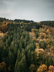 Autumn Forest Landscape, Fall Season Aerial Background With Colorful Trees, Forest from above,  Beautiful multicolored forest in autumn aerial view on drone.