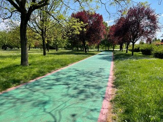 path in the park