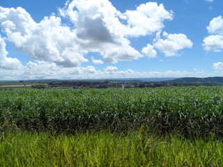 paisagem