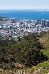 Fototapeta na wymiar aerial view of city of cape town and mountain with trees