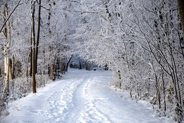 Winter view on a forest road covered with white snow, selective focus