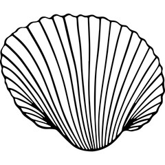 shell hand drawn icon