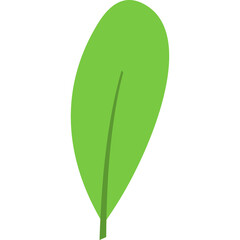 flat leaf icon hand drawn
