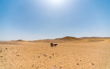 Fototapeta na wymiar horse cart in egypt desert