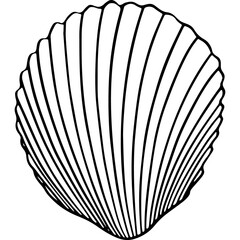 shell hand drawn icon