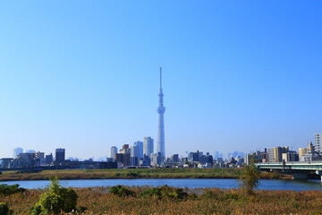 荒川の河川敷から眺める東京の都市風景
