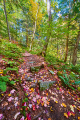 Obraz premium Low level of hiking path covered in small rock patches and variety of fall leaves