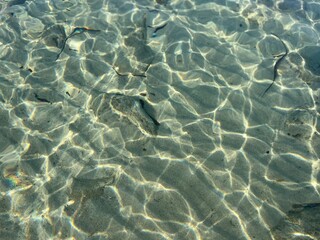 Transparent sea surface, sea ripples on the sea surface, natural sea water background