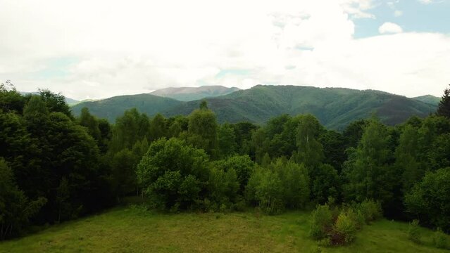 Aerial view of the Carpathian mountains covered with green forests. Summer cloudy day with rainy clouds. Kolochava, Ukraine
