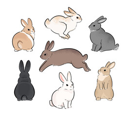 Obraz premium Rabbits with different fur patterns. A set of cute rabbit illustrations in various poses.