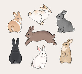 Rabbits with different fur patterns. A set of cute rabbit illustrations in various poses.