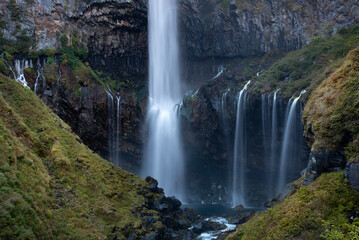 Fototapeta premium Autumn leaves fall leaves yellow leaves
