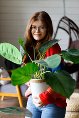 Take care of your house plant. A young woman holds a pot with an exotic domestic bush in her hands.