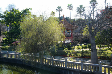 Chinese courtyard(Chinese garden)