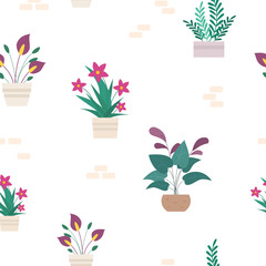 Floral seamless pattern with flowers in pots. house plants in pots.