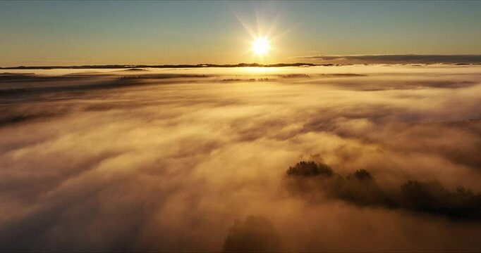 Foggy morning at latvian lake