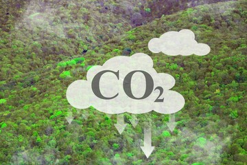 CO2 fog on beautiful green nature background