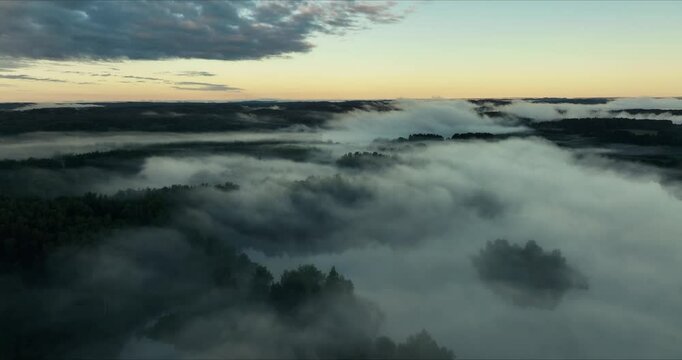 Foggy morning at latvian lake
