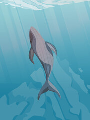 The blue whale rises to the surface of the sea. Marine mammals. Realistic vector vertical landscape