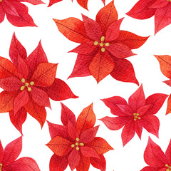 Red poinsettia seamless pattern. Flowers on white background