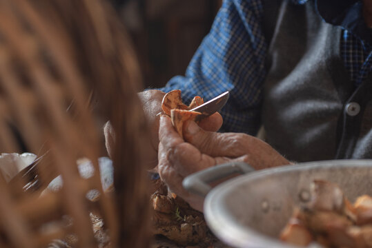 detail of old man's hands cleaning mushrooms with knife, basket with dirty and clean mushrooms cut in a sieve