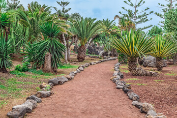 Beautiful exotic landscape in Jardines de Playa Chica garden in Puerto de la Cruz in Tenerife,...