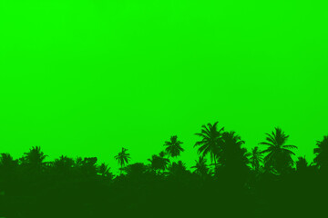 Fototapeta na wymiar Green silhouettes of palm trees