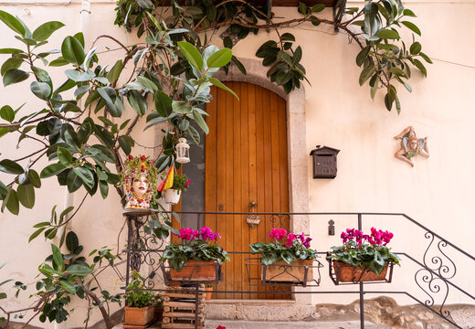 Entrance of residential house with wooden door and potted flowers
