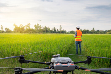 Agricultural specialist controls agriculture drone with remote controller for survey and data...