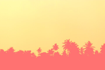 Sunset over palm trees
