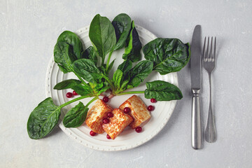 Fried curd cheese mozzarella halloumi with green spinach and lingonberry cranberries on a gray concrete table