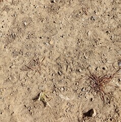 A close view of the dry dirt ground surface.