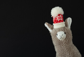 Toy lama in Bobble Hat with poker face looks at you. Black background. Space for your text.