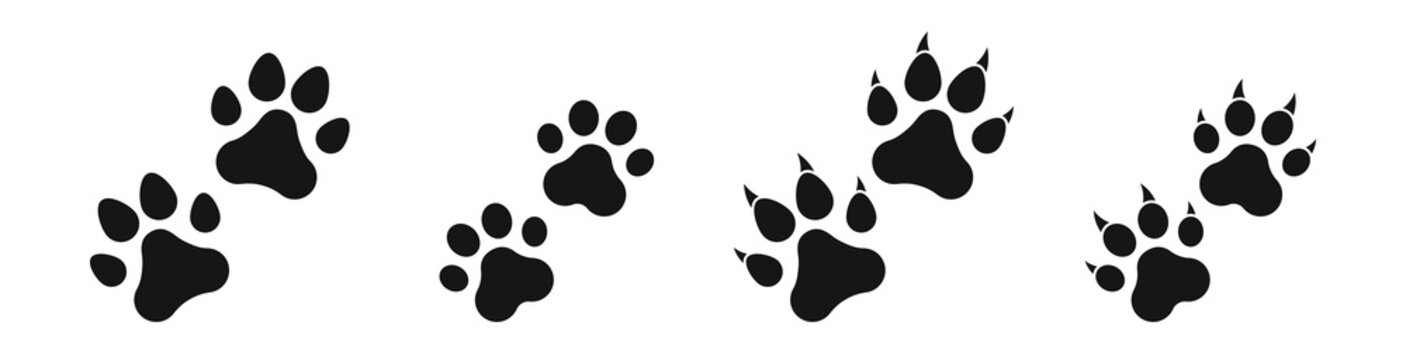 Dog Paw Png Images – Browse 36,417 Stock Photos, Vectors, and Video