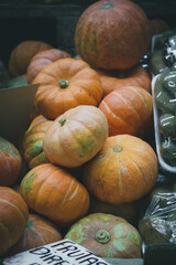 pumpkins for sale