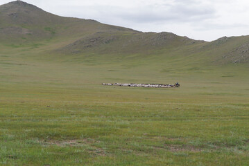 landscape in the mountains